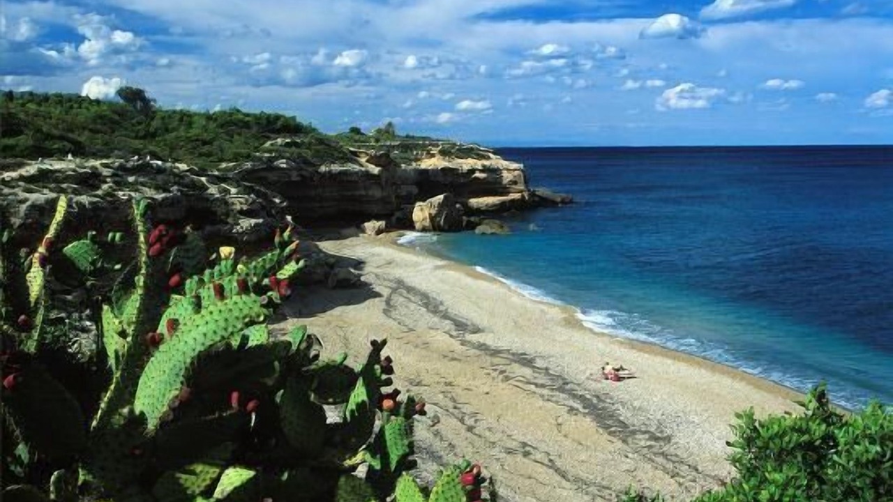 Photo of Others in Costa Dorada