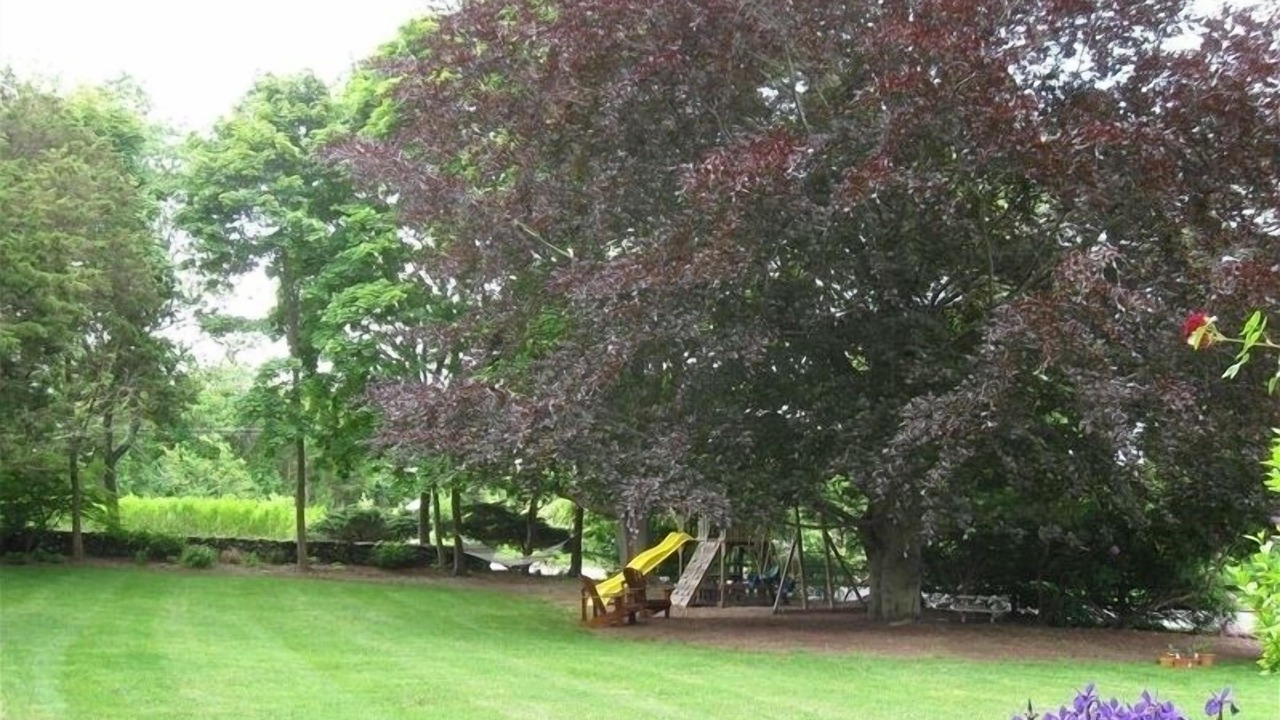 Photo of Others in Jamestown