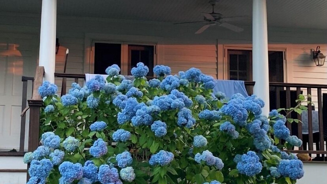 Photo of Outdoor in Jamestown