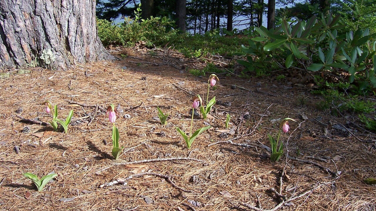 Photo of Others in West Bath