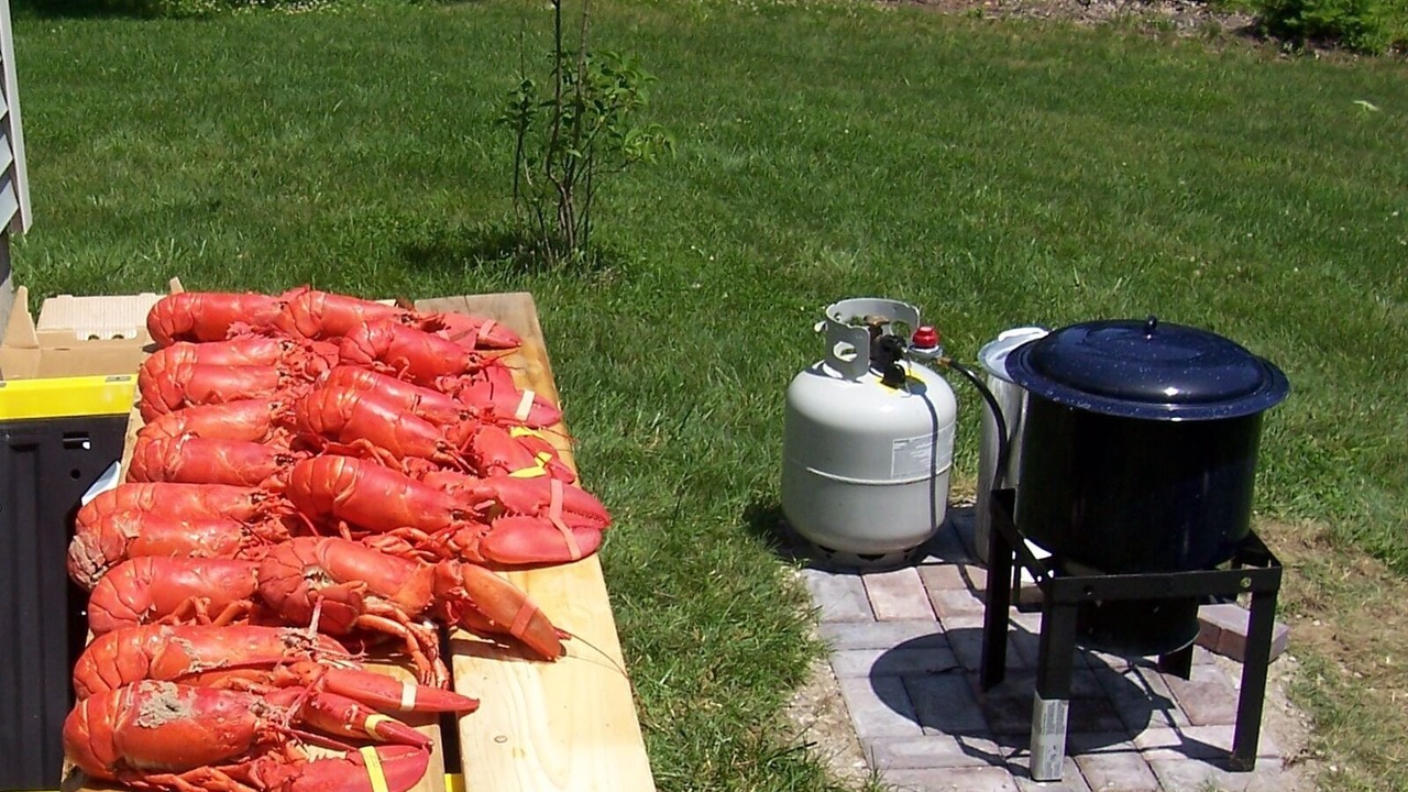 Photo of Others in West Bath