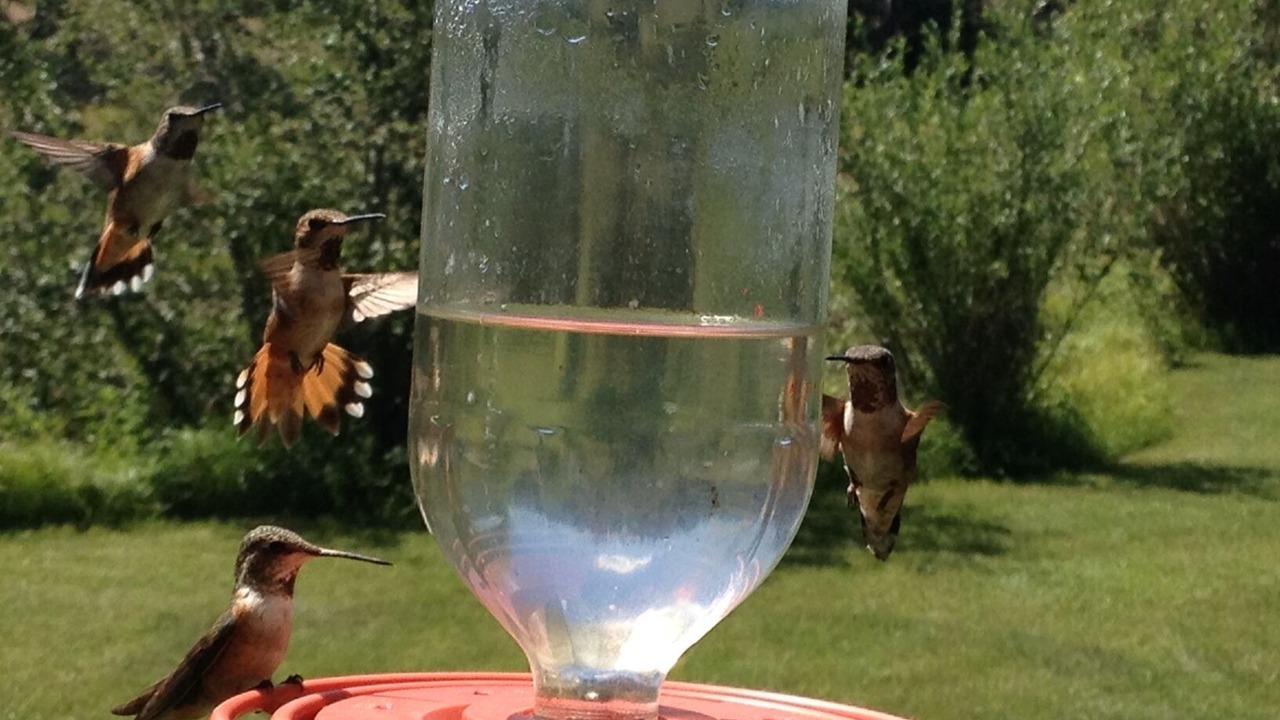 Photo of Outdoor in Los Ojos