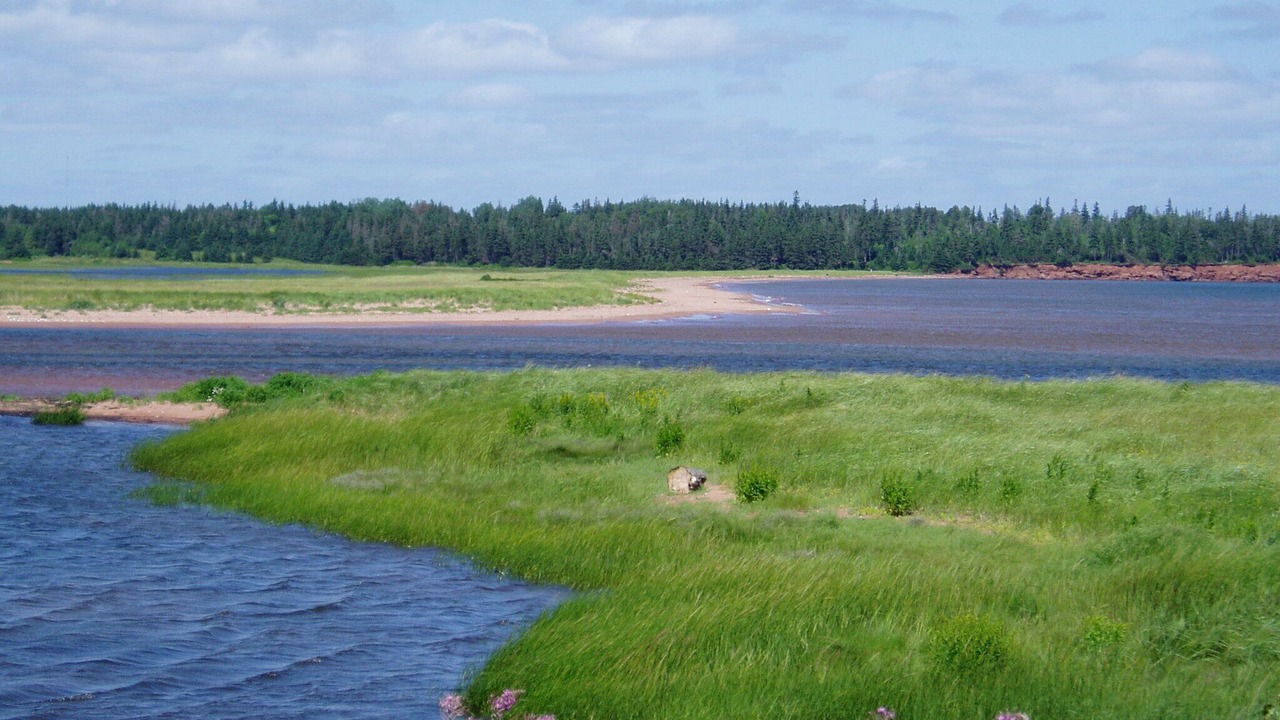 Photo of Others in Eglington