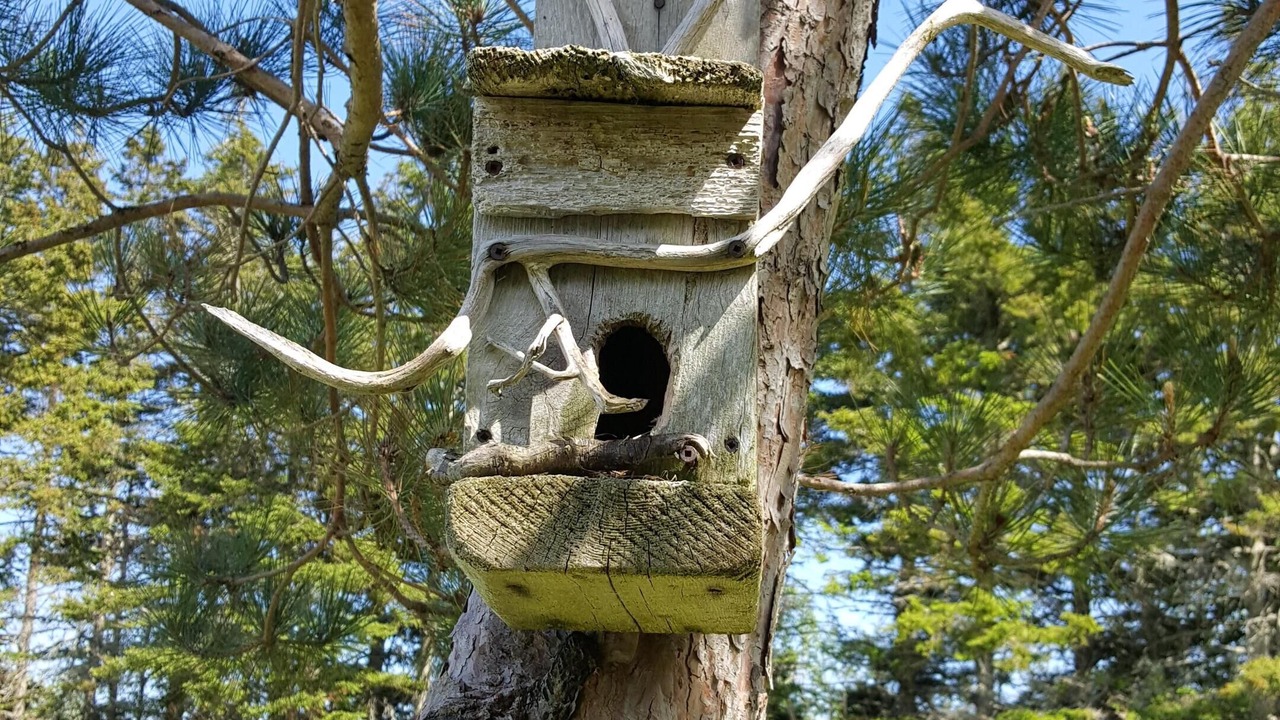 Photo of Outdoor in Eglington