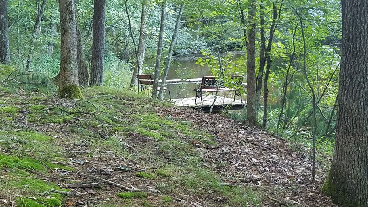 Photo of Outdoor in Idlewild