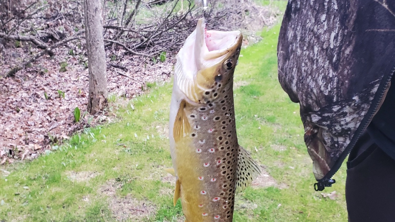 Photo of Outdoor in Idlewild