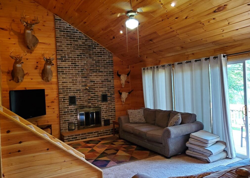 Photo of Livingroom in Idlewild