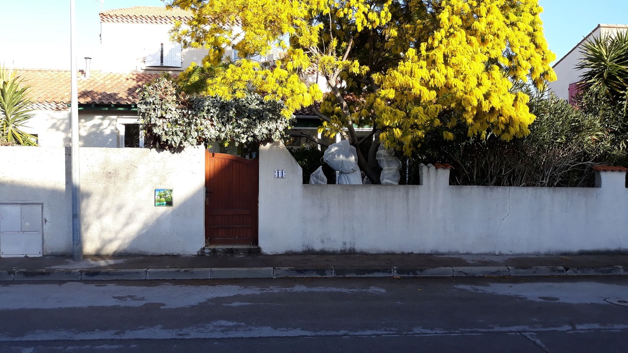 Photo of Outdoor in Perols