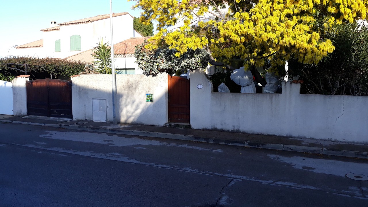Photo of Outdoor in Perols