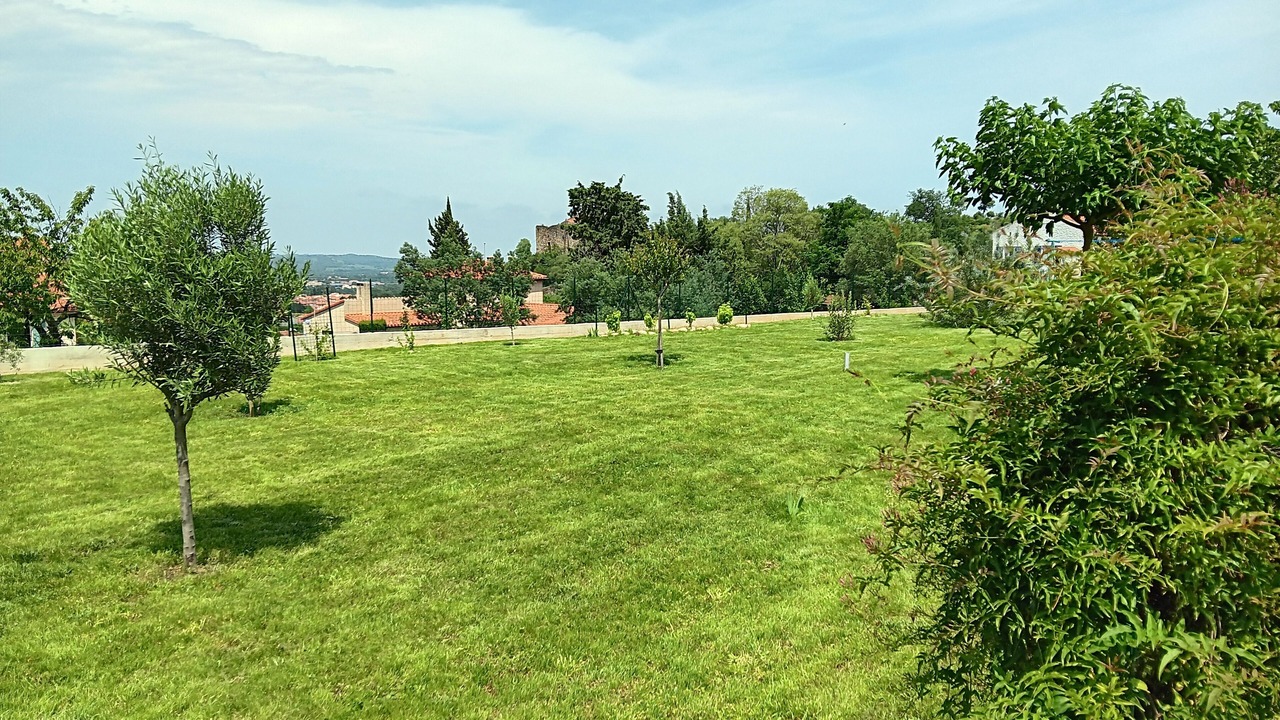 Photo of Outdoor in Ceret