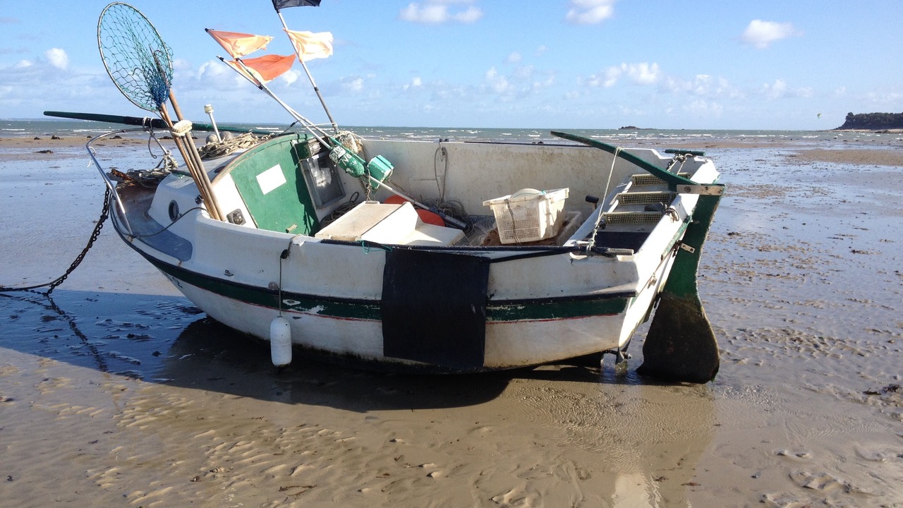 Photo of Others in Noirmoutier-en-l'Ile