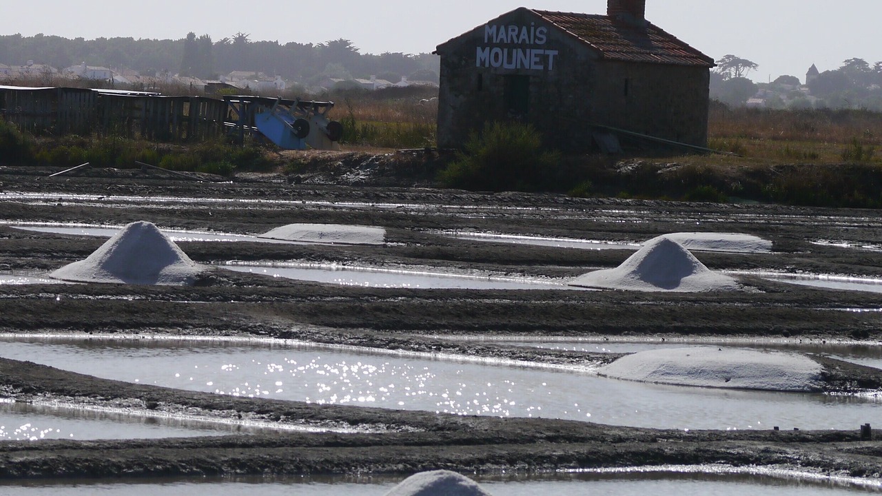 Photo of Outdoor in Noirmoutier-en-l'Ile