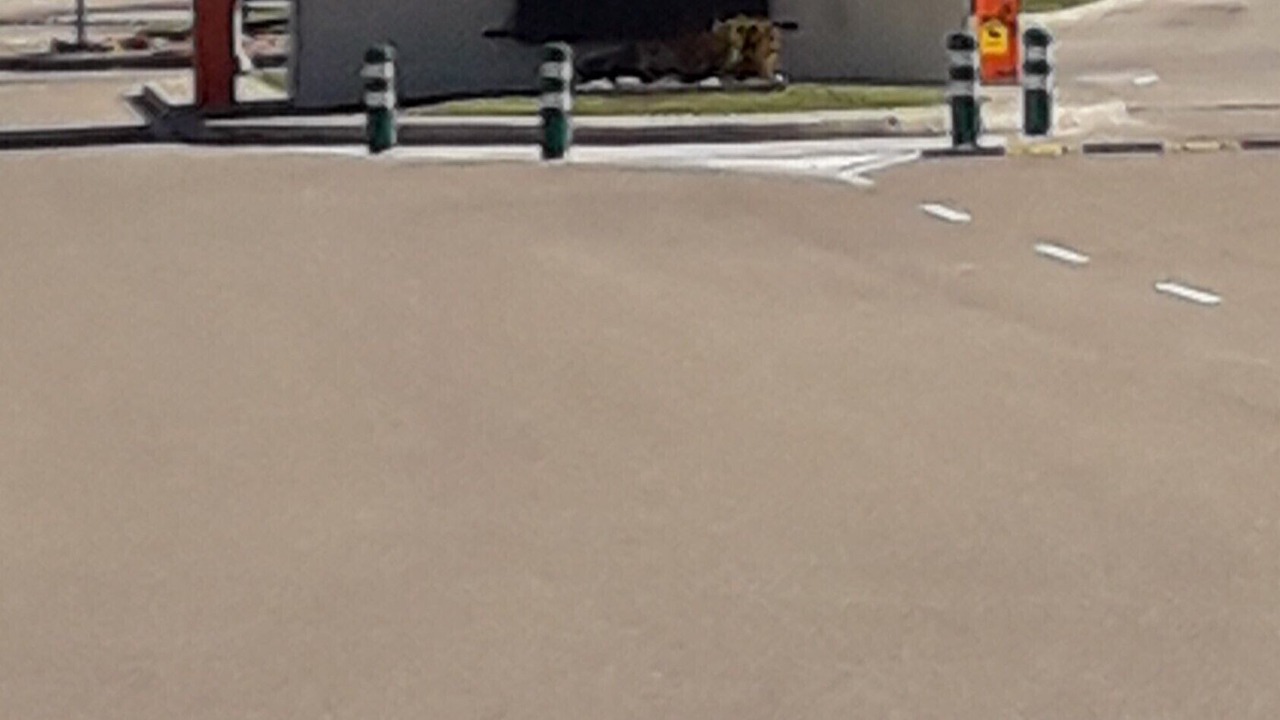 Photo of Outdoor in San Jorge