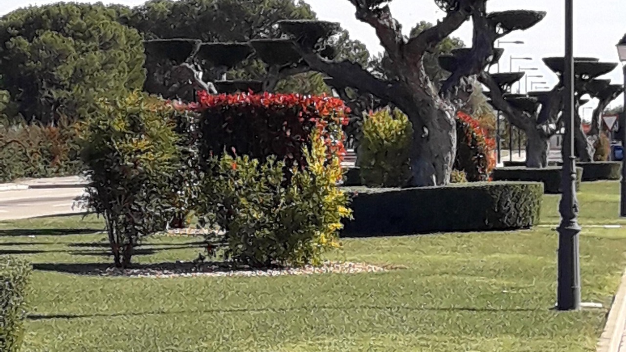 Photo of Outdoor in San Jorge