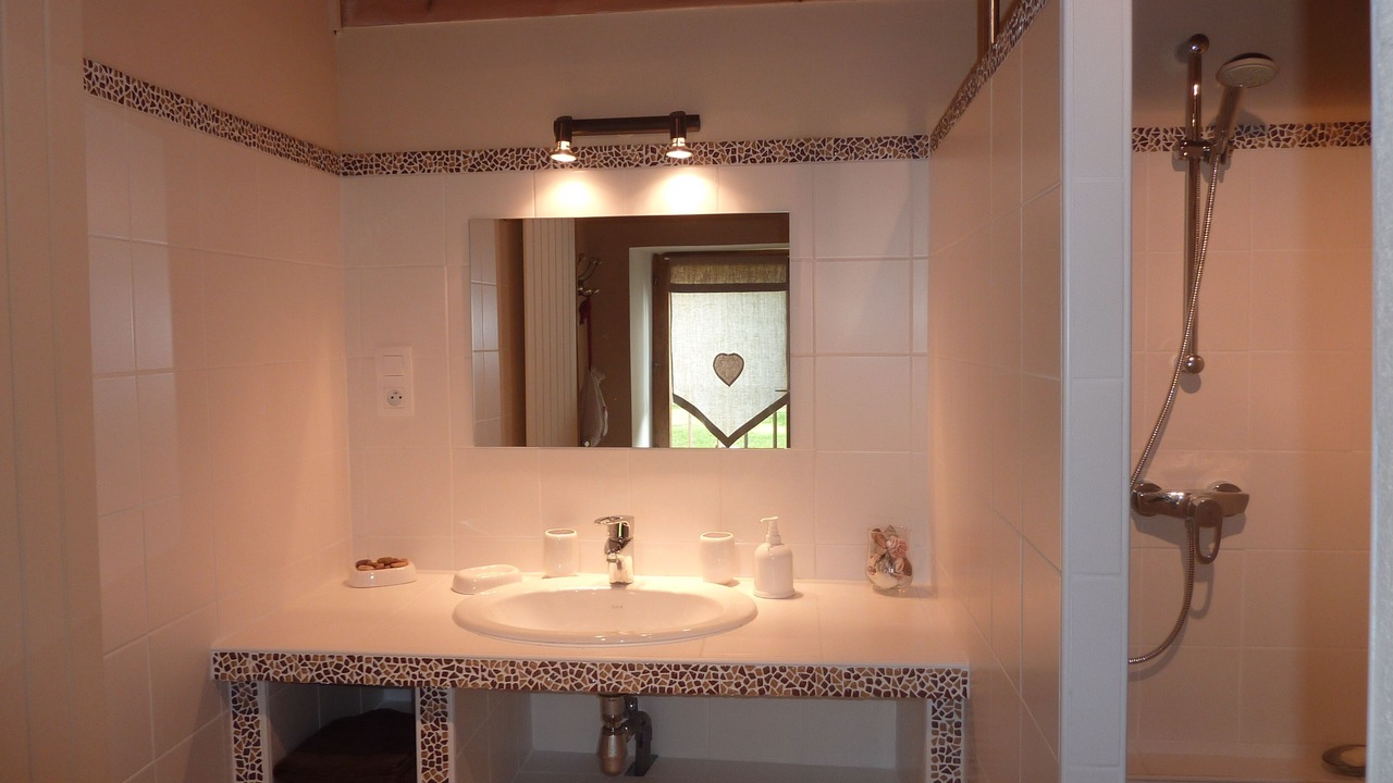 Photo of Bathroom in Saint-Jean-de-Couz
