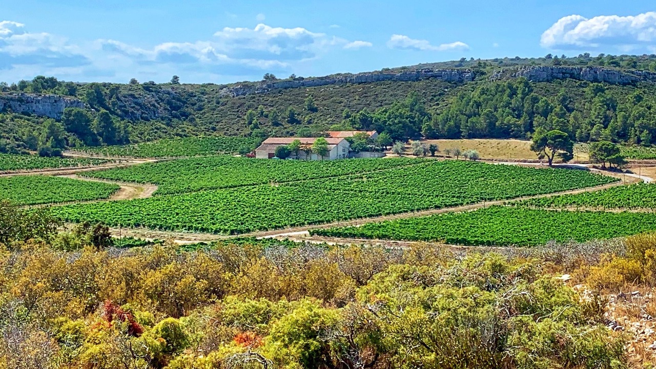 Photo of Others in Narbonne-Plage