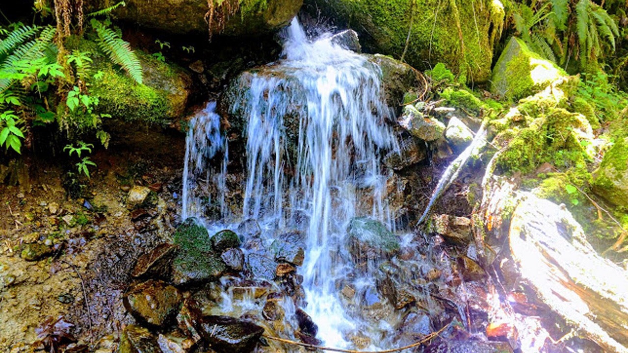 Photo of Others in Baring