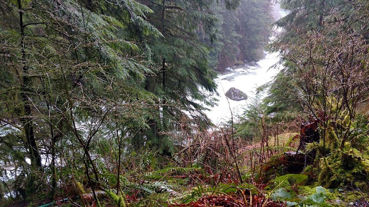 Photo of Others in Baring