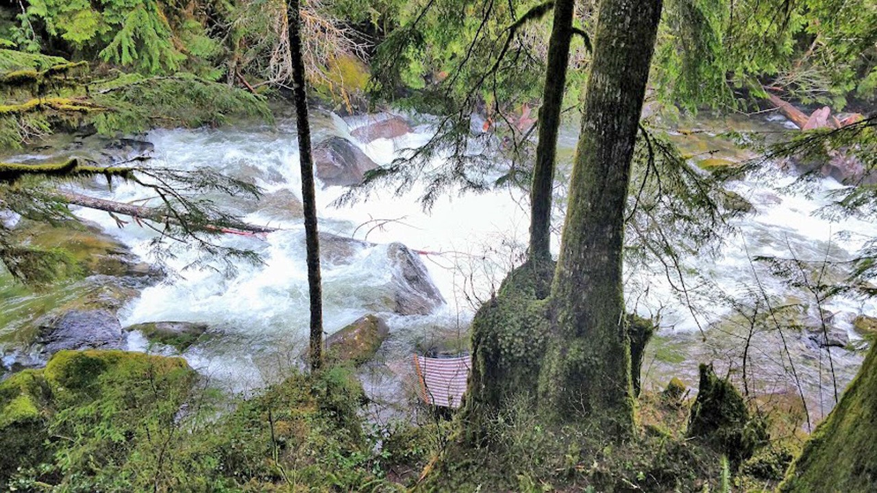 Photo of Others in Baring