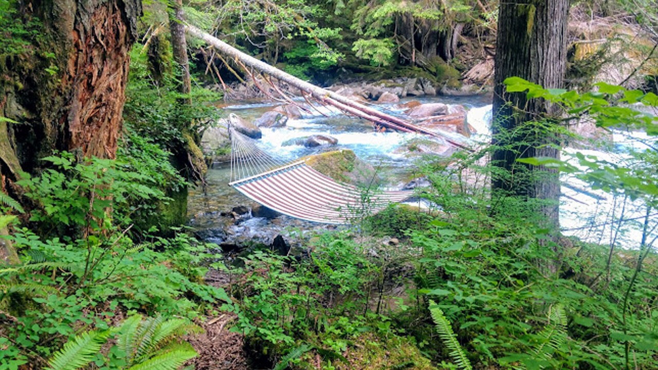 Photo of Others in Baring