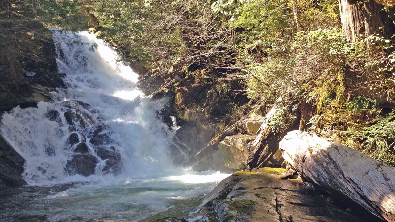 Photo of Others in Baring