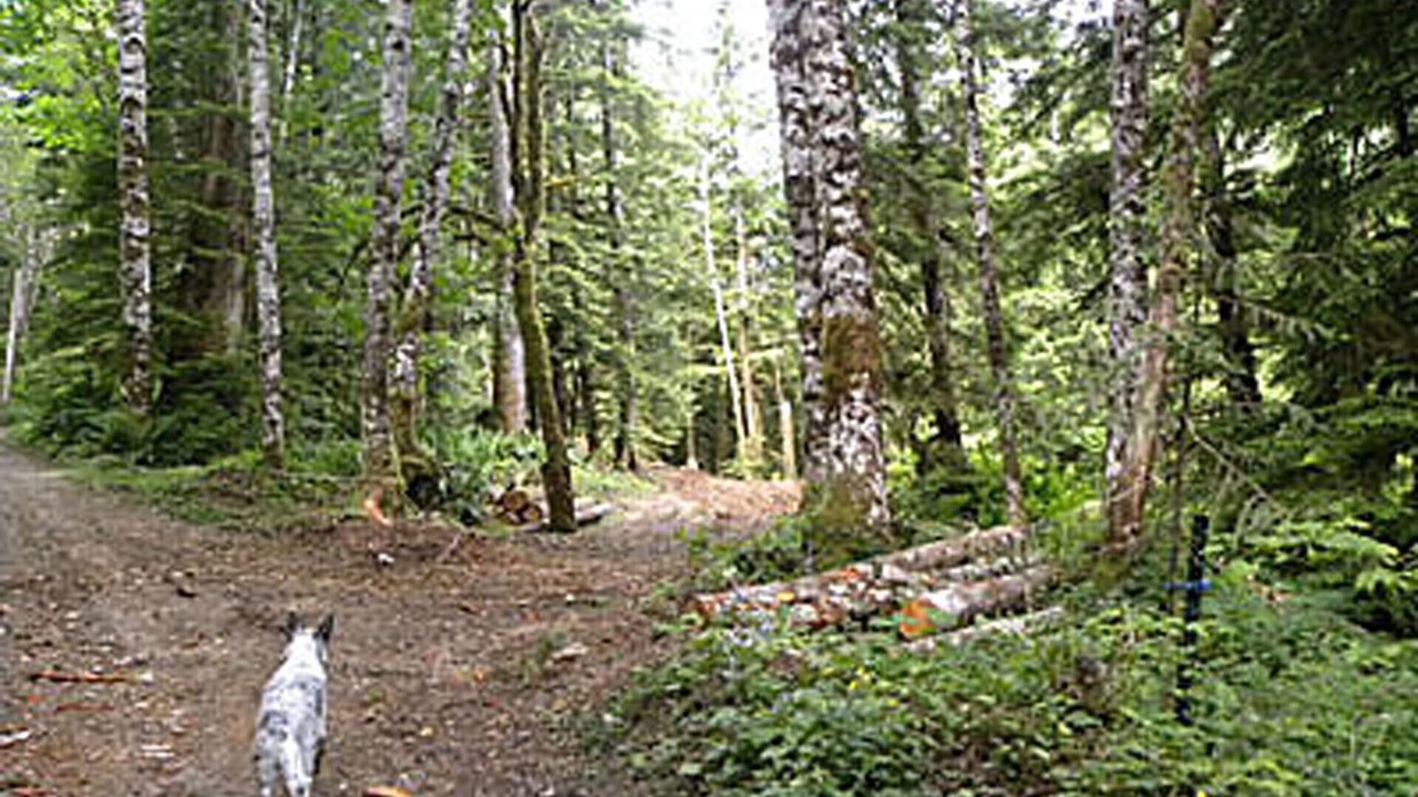 Photo of Others in Baring