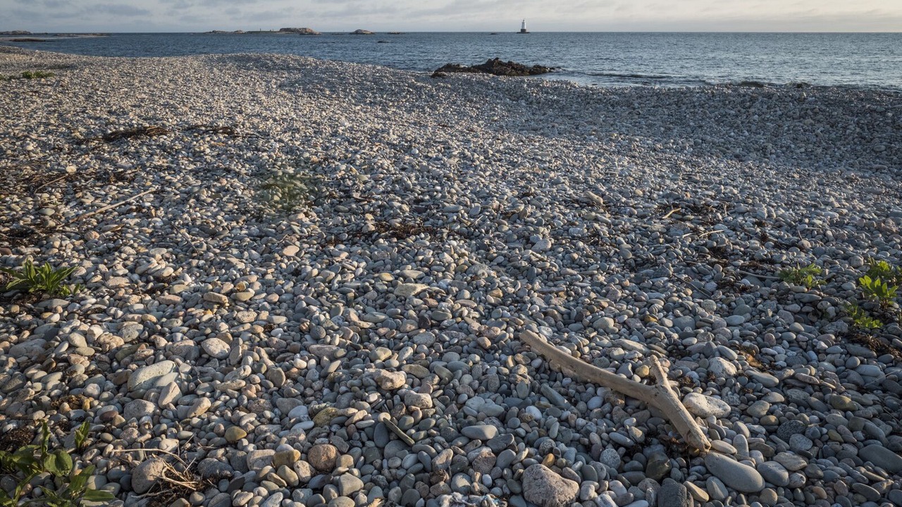 Photo of Others in Little Compton