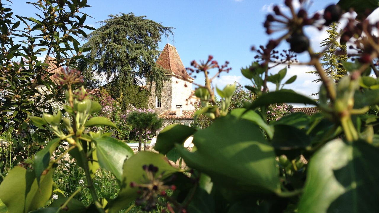 Photo of Outdoor in Castera-Lectourois