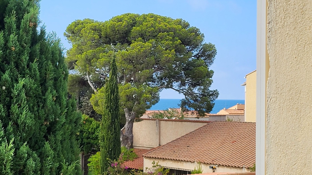 Photo of Others in Sausset-les-Pins