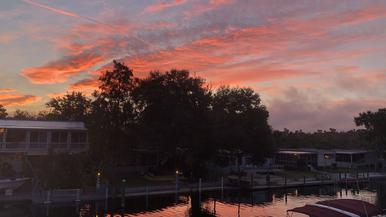 Photo of Others in Crystal River