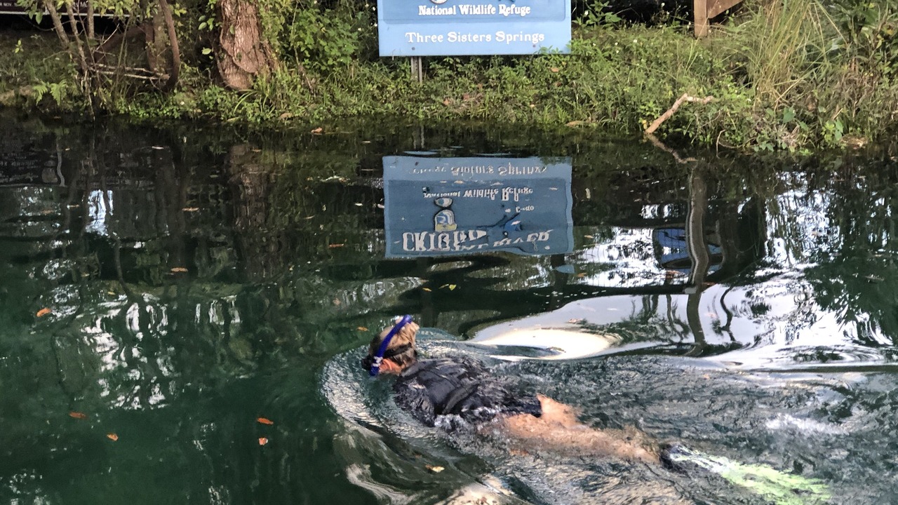 Photo of Others in Crystal River