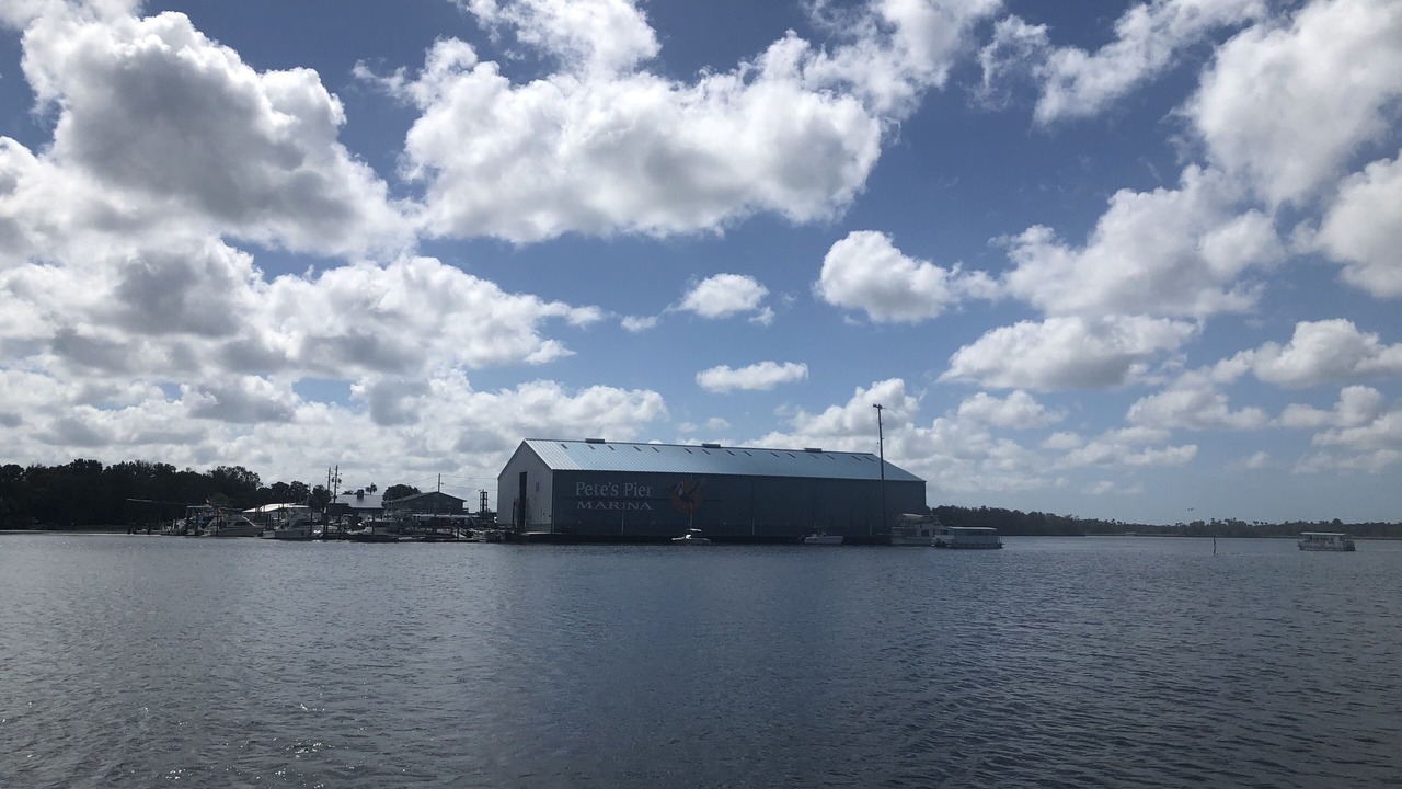 Photo of Others in Crystal River