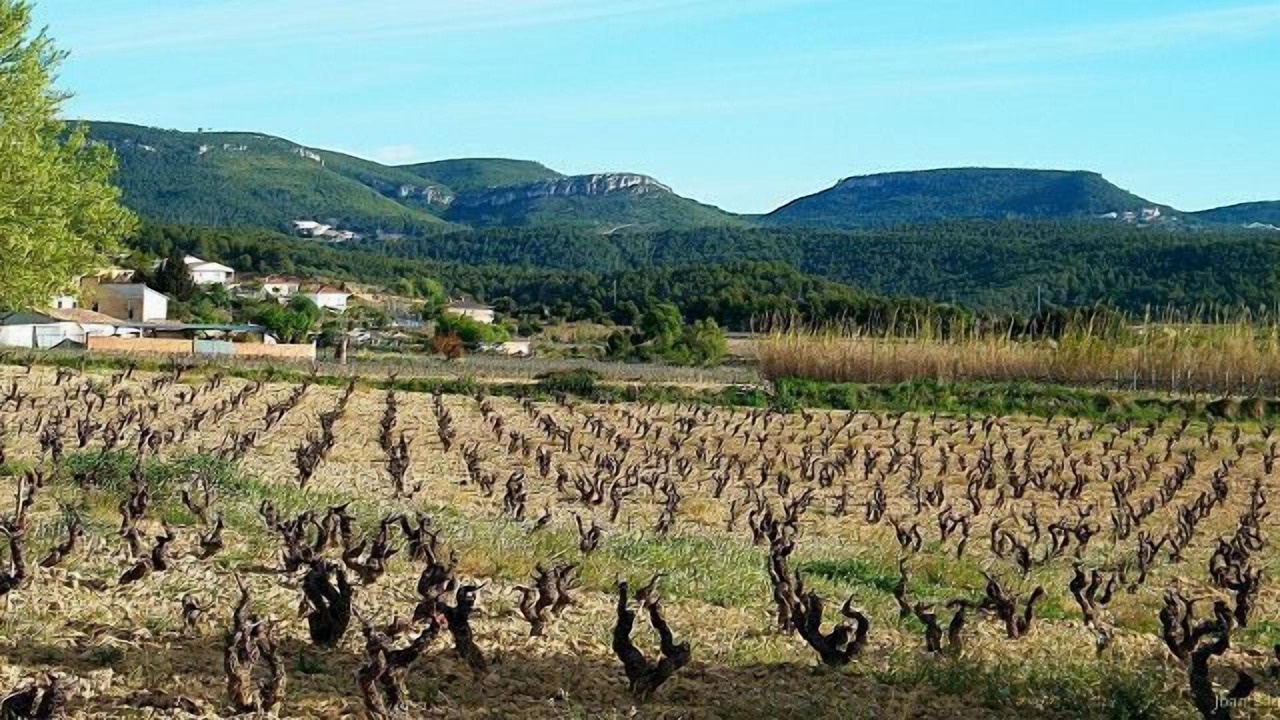 Photo of Outdoor in Torrelles de Foix