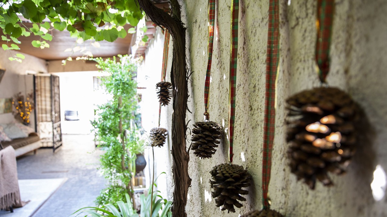 Photo of Outdoor in Torrelles de Foix