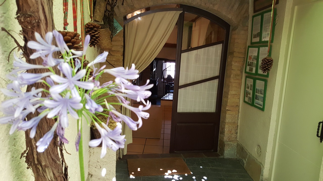 Photo of Outdoor in Torrelles de Foix
