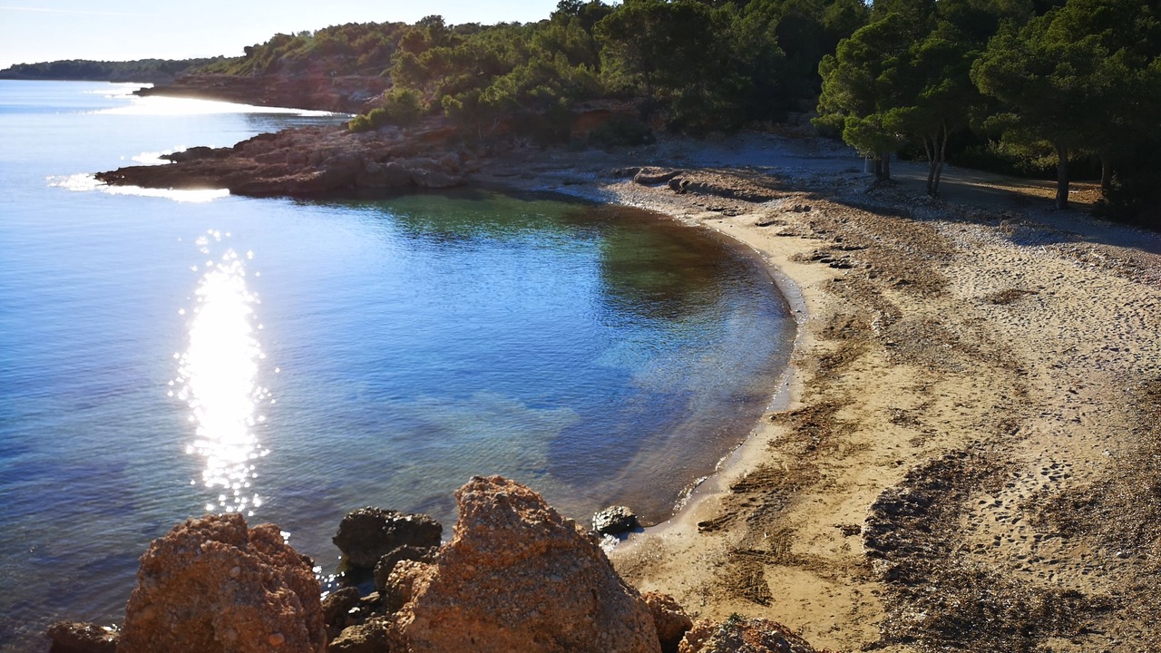 Photo of Others in Les Tres Cales