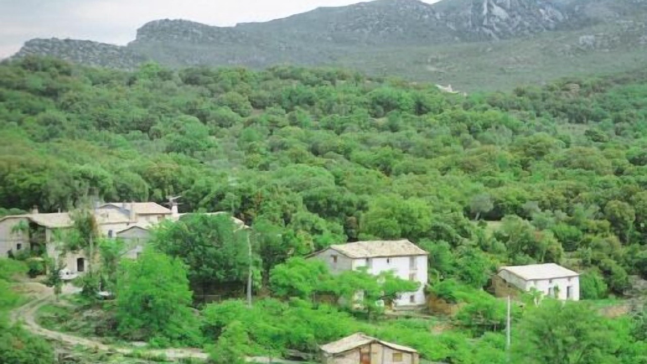 Photo of Outdoor in Rodellar