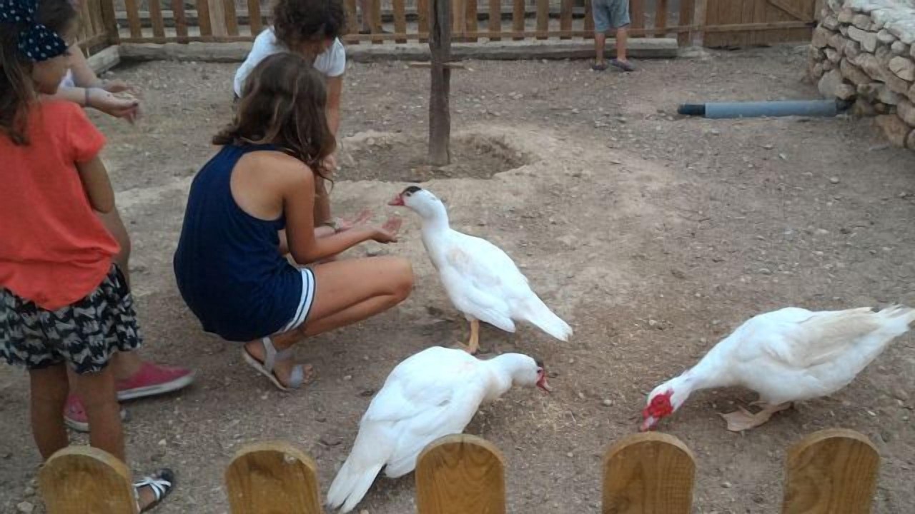 Photo of Others in San Jorge