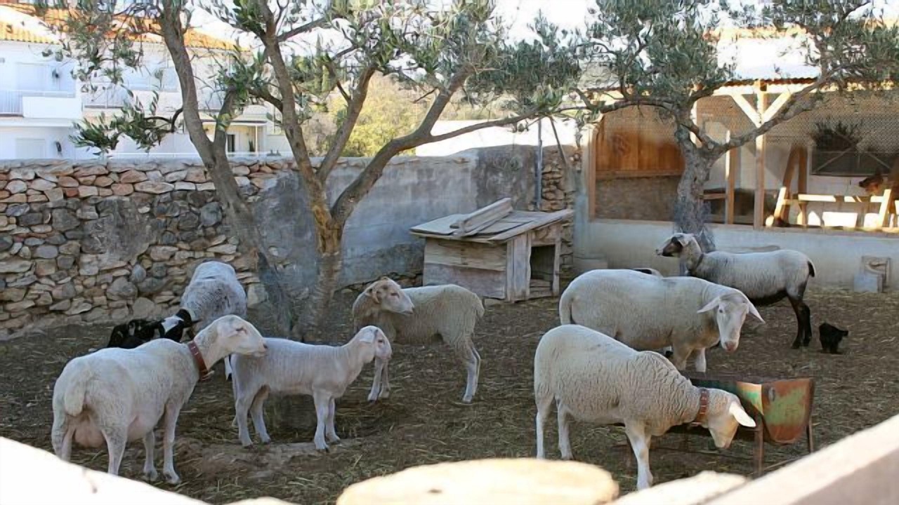 Photo of Outdoor in San Jorge
