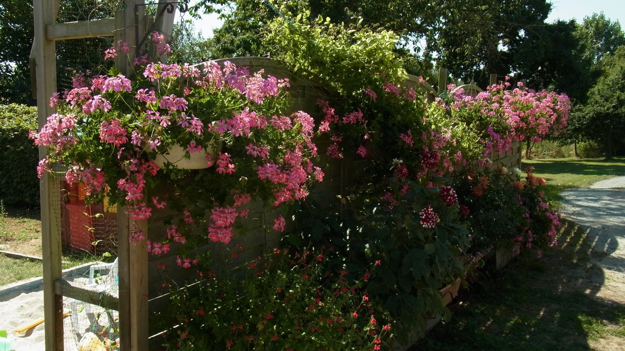 Photo of Outdoor in Corseul