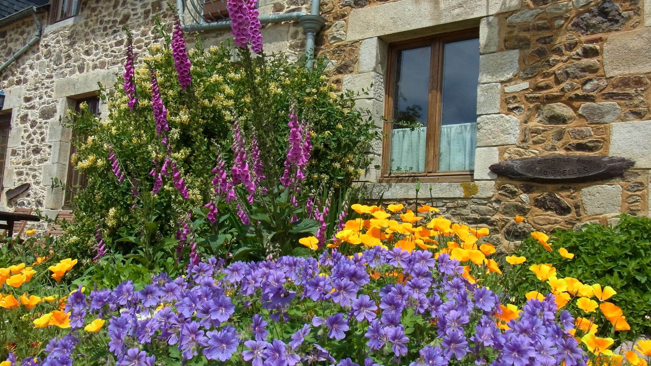 Photo of Outdoor in Corseul