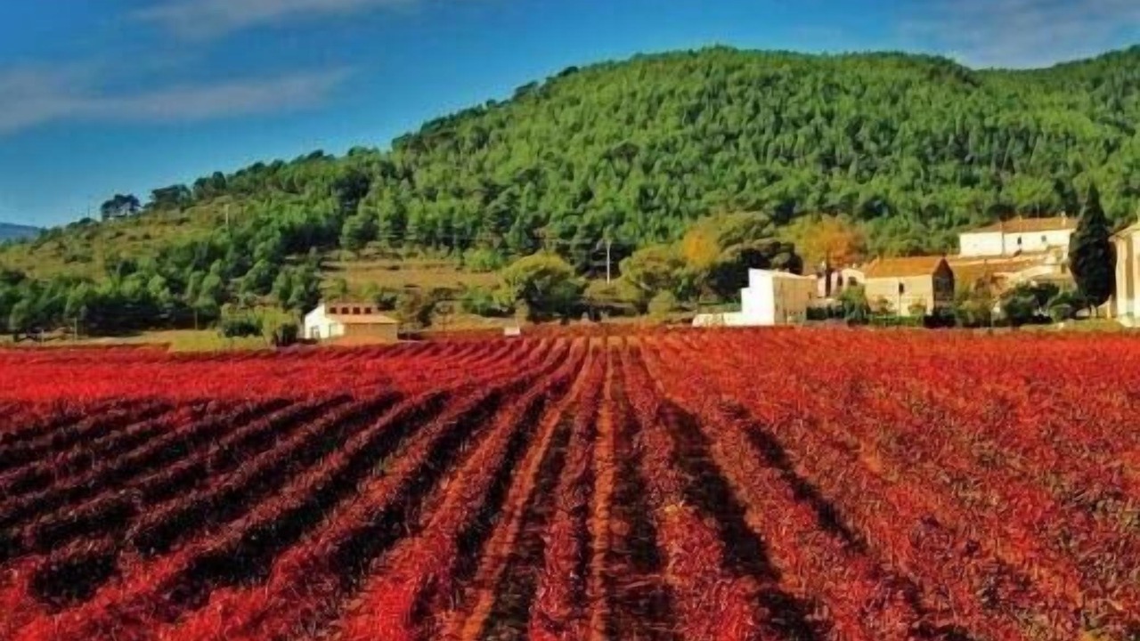 Photo of Outdoor in San Sadurni