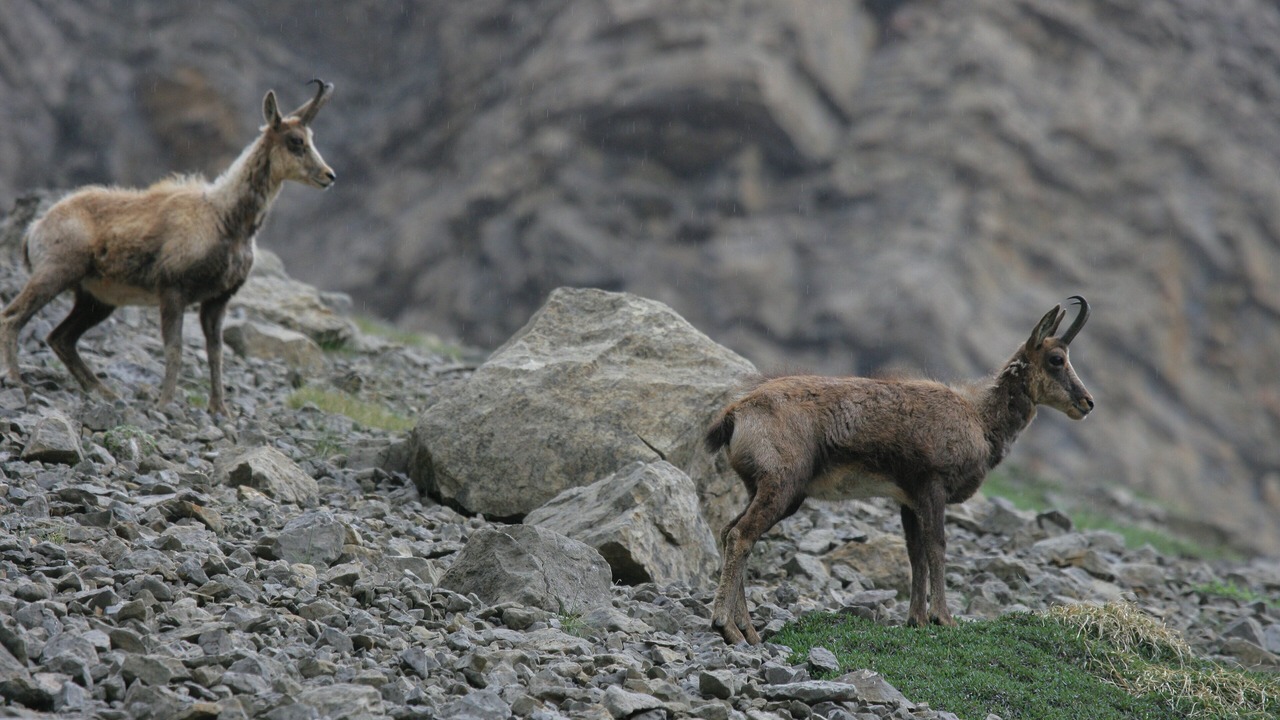 Photo of Outdoor in Ainsa-Sobrarbe