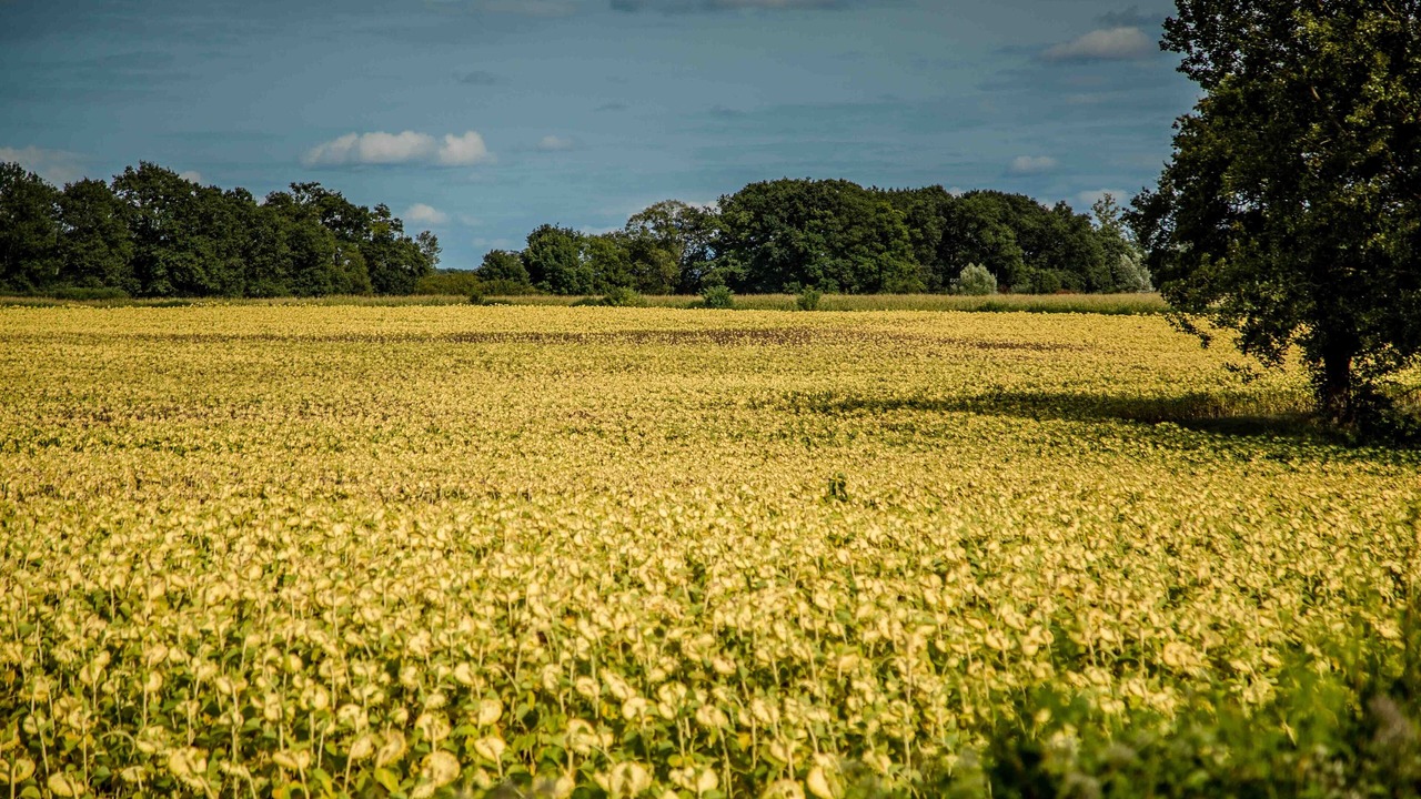 Photo of Outdoor in Noyant-Villages
