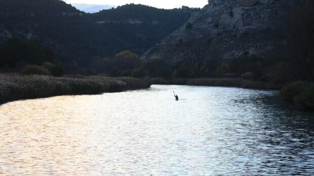 Photo of Others in Tolosa