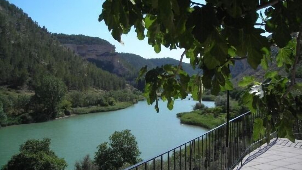 Photo of Others in Tolosa