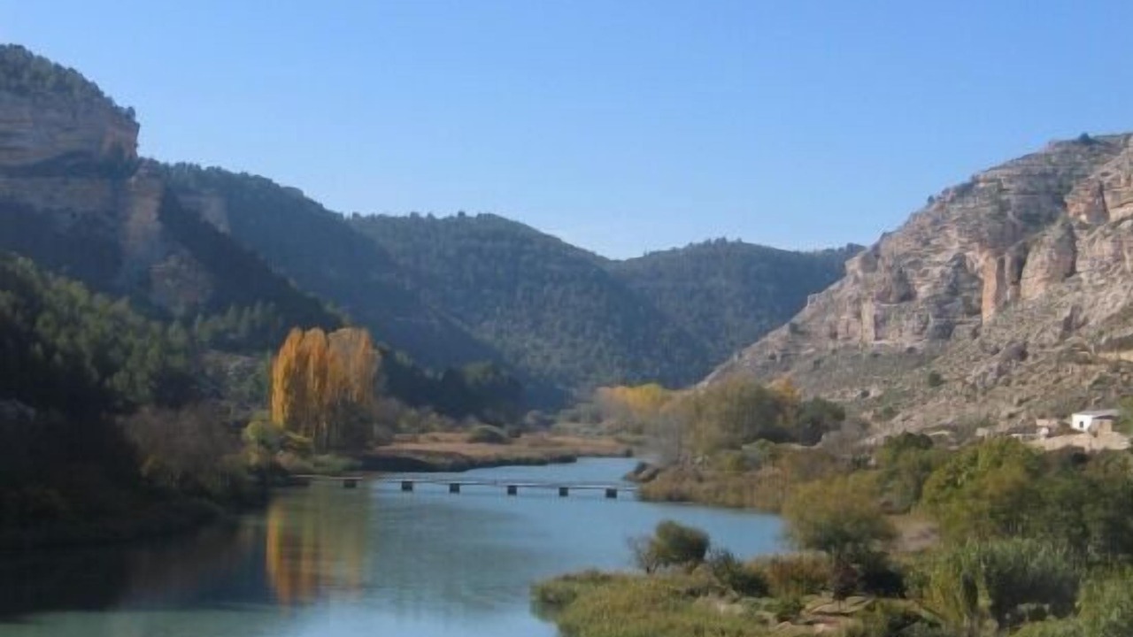 Photo of Others in Tolosa