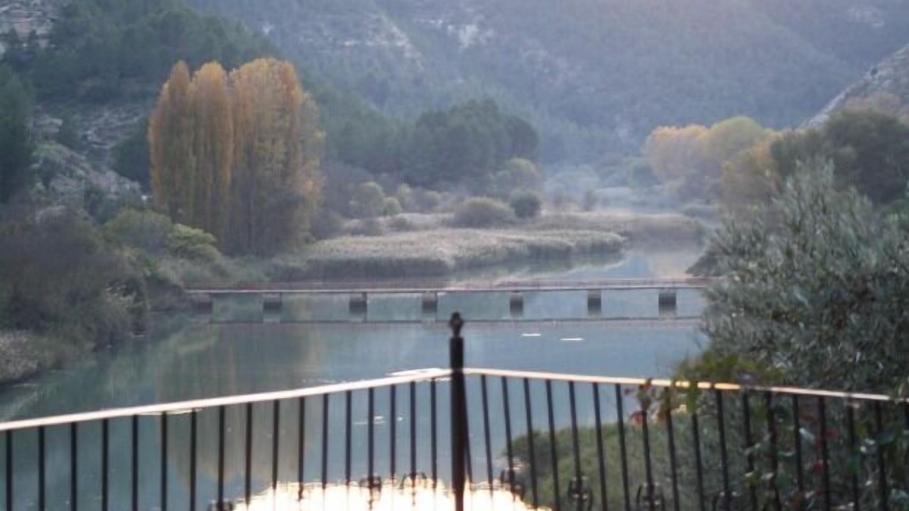 Photo of Others in Tolosa