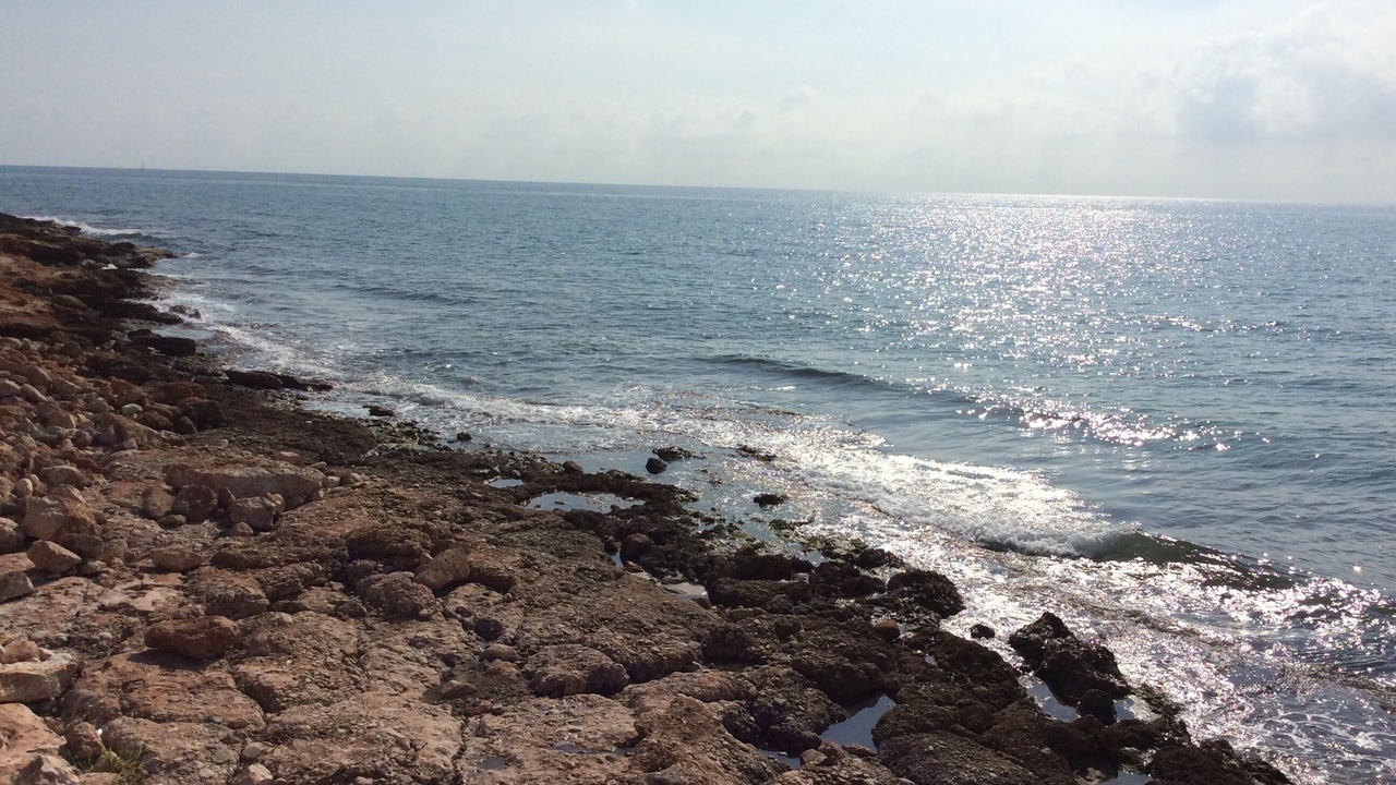 Photo of Others in Alcossebre