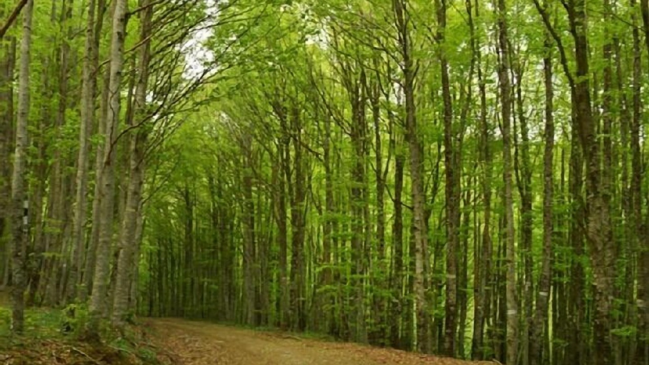 Photo of Outdoor in Zilbeti
